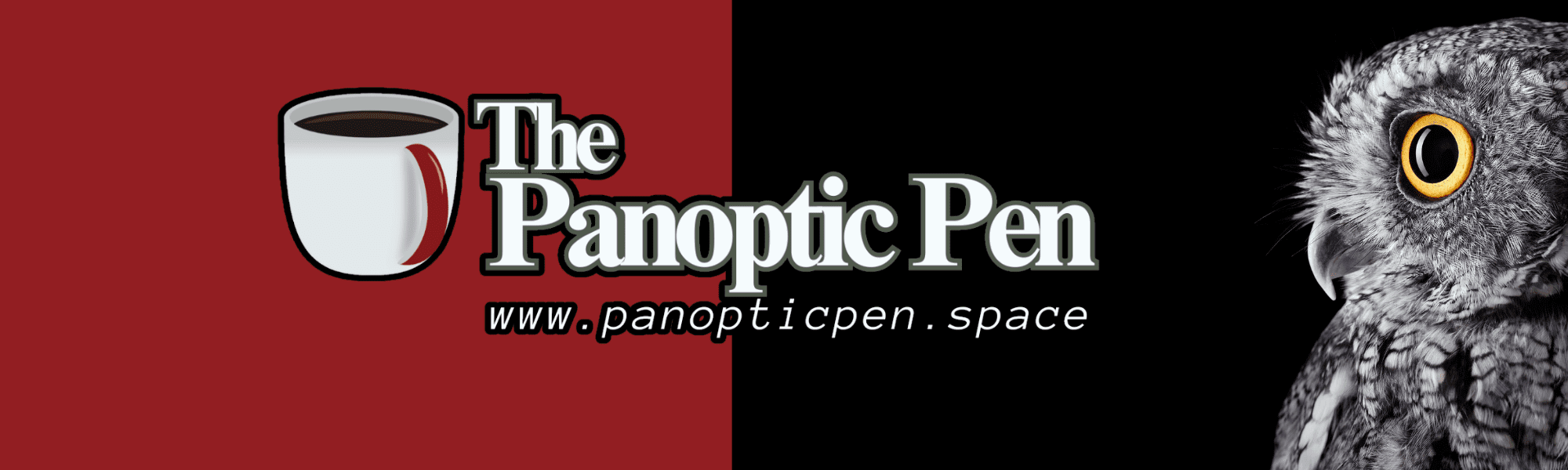 (c) Panopticpen.space